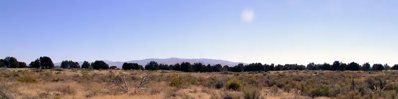 Sagebrush and junipers on hills in Southeast Idaho